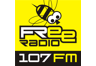 Free Rádio 107,0 FM 107.0 FM