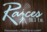 Raíces 98.3 FM