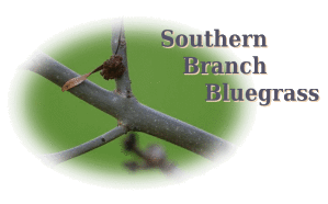 Southern Branch Bluegrass