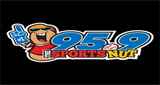 95.9 The Sports Nut