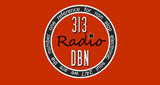 313 DBN Radio