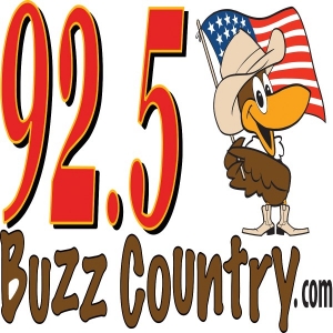 WMBZ Buzz Country