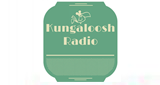 Kungaloosh Radio