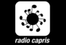 Radio Capris 91.7 FM