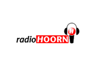 Radio Hoorn FM 105.8 FM