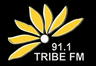 Tribe FM 91.1