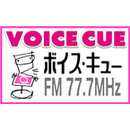 VOICE CUE