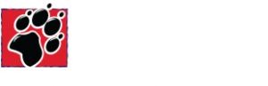 KKWF - 100.7 The Wolf