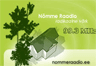 Nömme Raadio 99.3 FM