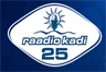 Raadio Kadi 90.5 FM