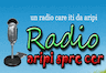 Radio Aripi Spre cer București