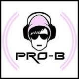 Radio Pro-B